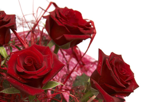486966 (a): :2560x1600